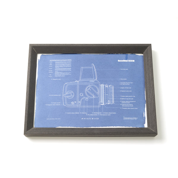DOOMO Cyanotype Frame, Rollei, Hasselblad,Leica